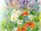 KWIATY W OGRODZIE II
