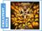 greatest_hits ANTHRAX: WORSHIP MUSIC (2WINYL)