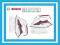 BOSCH TDA5028110 Żelazko Sensixx'x Secure
