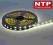 TAŚMA LED NTP LED300 SMD5050 5m IP20 BIALY ZIMNY