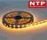 TAŚMA LED NTP LED300 SMD5050 5m IP20 BIALY CIEPŁY