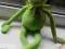Muppets - Śliczny Kemit - orginalna Disney - 50cm