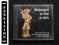WEIHNACHTEN IM DOM ZU HALLE [CD] Niemieckie Kolędy