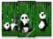 SONY XPERIA M C1905 C1904 DUAL Head PANDA etui