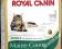 2kg. MAINE COON 31 ROYAL CANIN + KOSZULKA