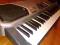 Keyboard CASIO CTK 481 okazja-pilne!