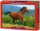 Puzzle 1000 Castorland 102396 Reddish - Brown Hors