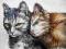 Przytulone - kot,koty, kotki  Cuadro