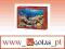 Puzzle 1000 - Rafa koralowa (C-101511-1)