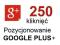 250+ kliknięć Google Plus - Pozycjonowanie G+ PL