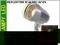 Reflektor, oprawa,lampa ogrodowa, 12V/mr16