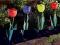 LAMPY SOLARNE TULIPANY OGRODOWE 6 SZT. /c67a/