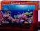 ! Puzzle 1000 Castorland C-101511 Coral Reef Fishe