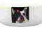 MISKA dla psa Bouledogue 14cm