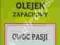 OLEJEK (OLEJKI) ZAPACHOWE 12ml - OWOC PASJI