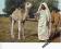 LIBIA - WIELBŁĄD - MĘŻCZYZNA - FOLKLOR - STROJE