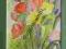 AKWARELA TULIPANY 24 cm x 32 cm