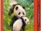 ! Puzzle 500 Castorland B-51656 Mothers - Panda