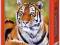 ! Puzzle 500 Castorland B-51267 Siberian Tiger