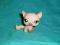 figurka LPS littlest pet shop kotek kotek