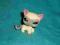 figurka LPS littlest pet shop kot kotek shorthair