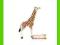 [MALAKO_PL] ANIMAL PLANET Młoda żyrafa