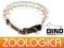 OBROŻA KOLCZATKA ZAPINANA NR 2 - 60 CM DINO
