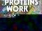 How Proteins Work