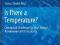 Is There a Temperature?: Conceptual Challenges at