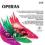 OPERAS (Opery) - 2 CD PACK