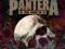 PANTERA: FAR BEYOND BOOTLEG: LIVE FROM DONINGTON '