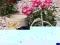 Kwietnik Rowerek w Stylu Ptowansalskim Shabby Chic