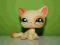 Littlest Pet Shop LPS kot kotek shorthair #1521