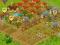 KONTO BIG FARM 40