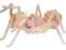 PUZZLE 3D DREWNIANE PRZESTRZENNE MRÓWKA OWAD