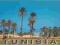pocztówka TUNEZJA Palmy nadmorskie
