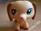 littlest pet shop Jamnik