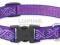 Lupine Obroża Jelly Roll 1,8 cm; 30 - 50 cm