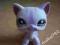 littlest pet shop kot shothair