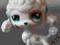 Littlest Pet Shop pies piesek pudel, pudelek