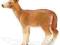 SCHLEICH FIGURKA JELONEK SARNA NOWA