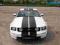 Piękny i zadbany Mustang 4.0 V6