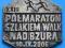 BITWA NAD BZURĄ- PÓŁMARATON SOCHACZEW 2006