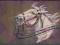 Koń w malarstwie Śliczny  sygn Walter b/o
