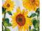 Serwetka SŁONECZNIK decoupage *PROMOCJA!!!* 2 szt.