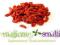 GOJA, JAGODY GOJI suszone 500g - NATURALNE