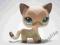 LITTLEST PET SHOP Hasbro kotek shorthair