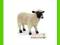 [MALAKO_PL] ANIMAL PLANET Owca czarnogłówka