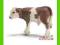 [MALAKO_PL] SCHLEICH CIELĘ RASY SIMMENTAL NEW 2009