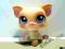 LITTLEST PET SHOP - ŚWINKA #266 - LPS